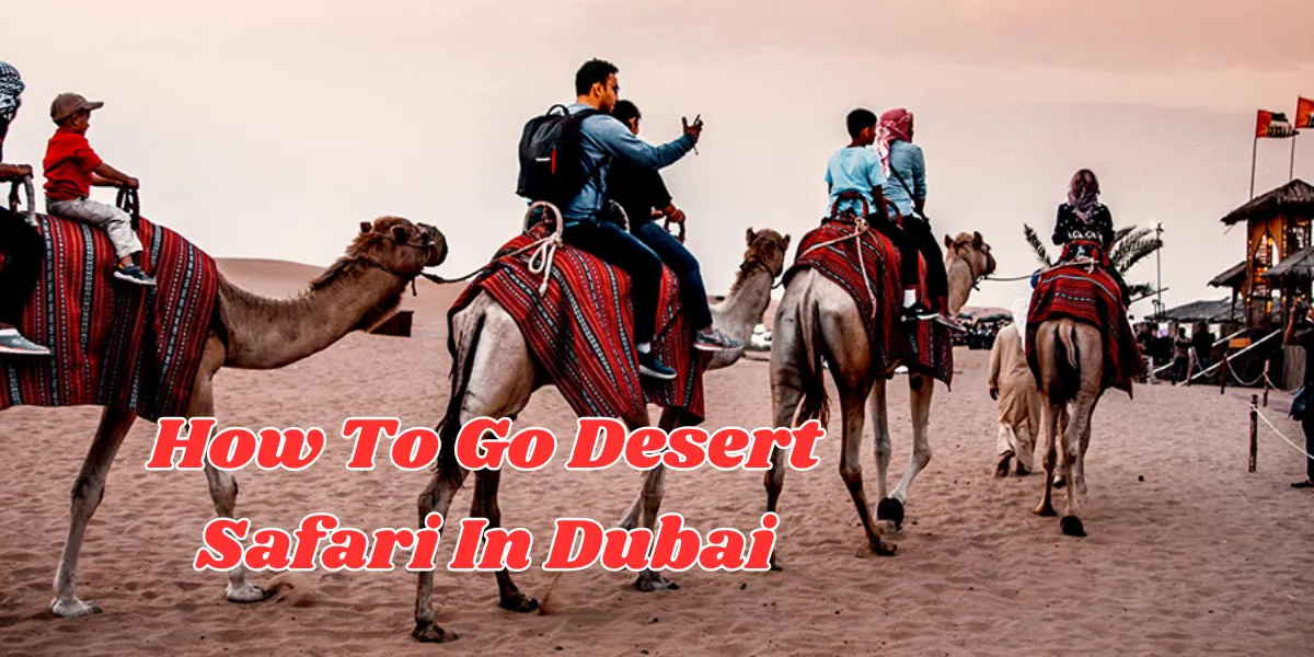 How To Go Desert Safari In Dubai (1)