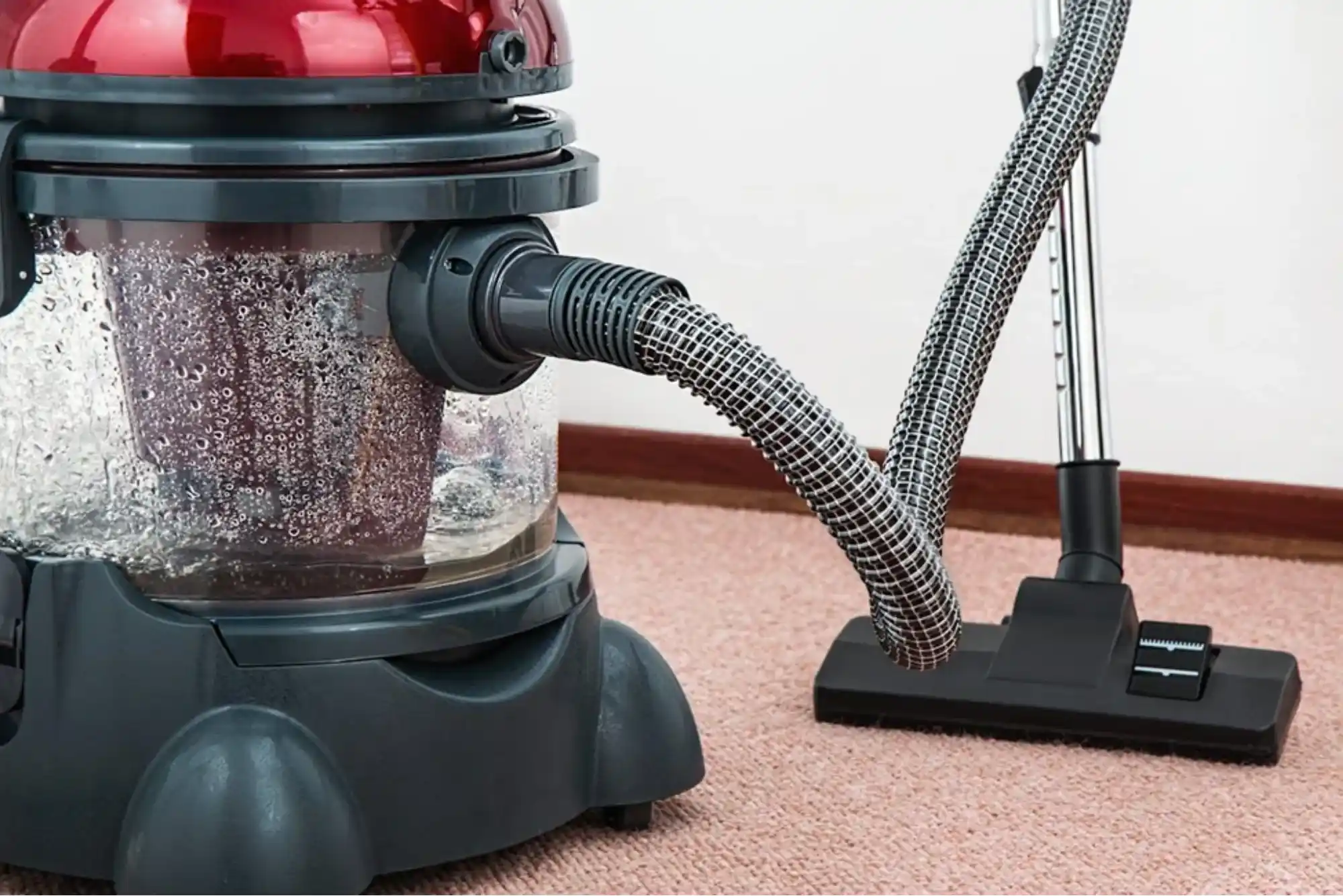 DIY Carpet Cleaning Might