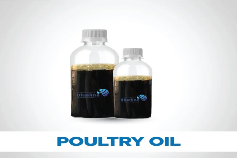 Premium Poultry Oil in Oman