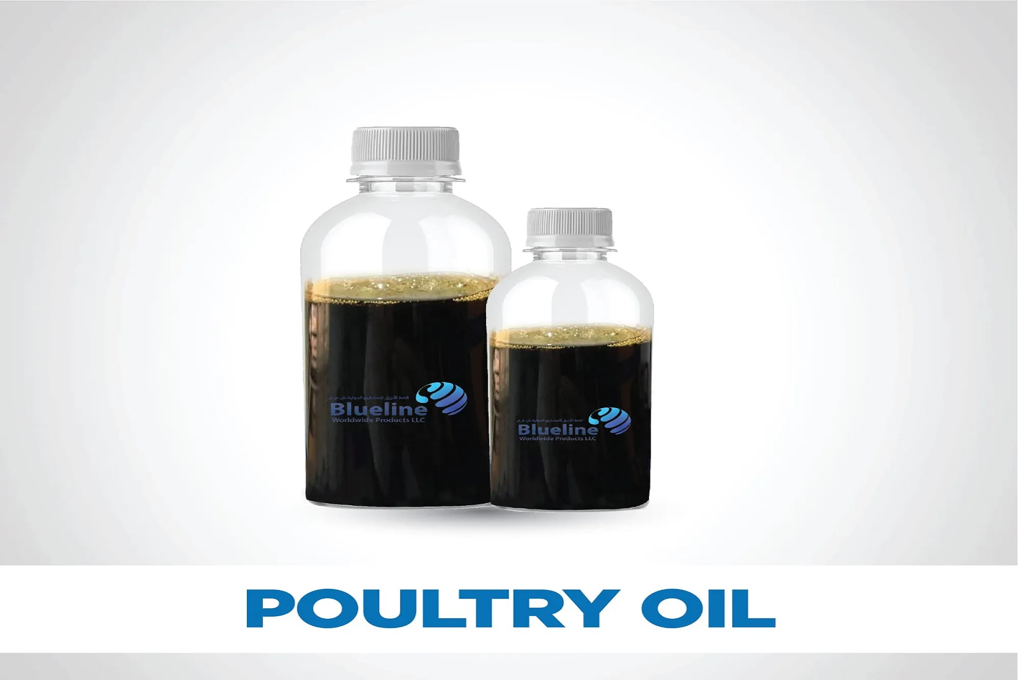 Premium Poultry Oil in Oman